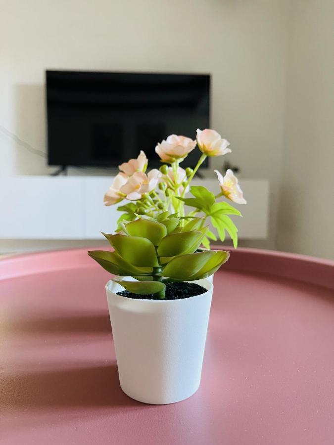 Aday - Central Charming Apartment With Terrace 올보르 외부 사진